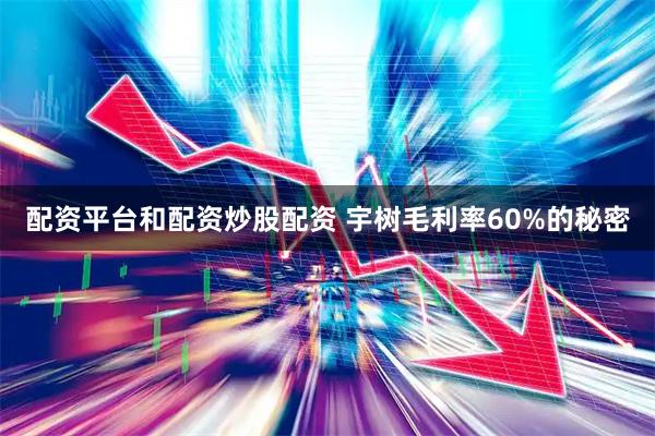配资平台和配资炒股配资 宇树毛利率60%的秘密